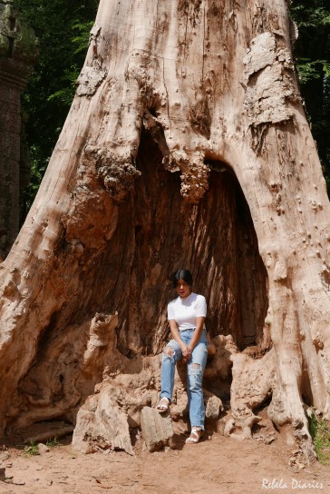 Ta Prohm Giant Tree